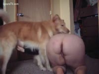 Zoo Sex DVD - A chunky ass and a fine dog